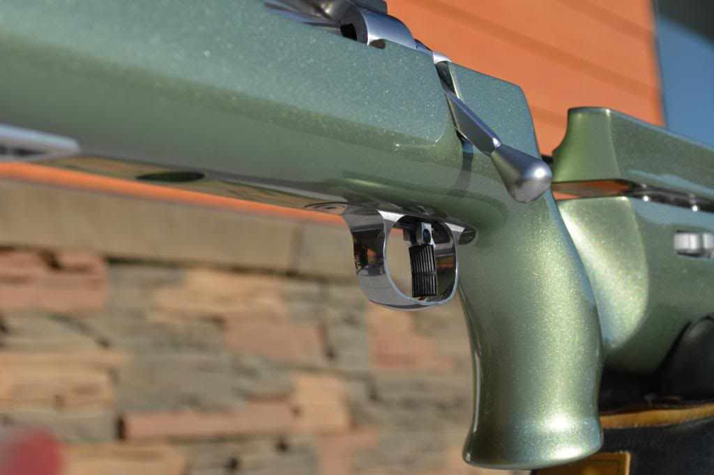 LRI Trigger Guard - Image 10